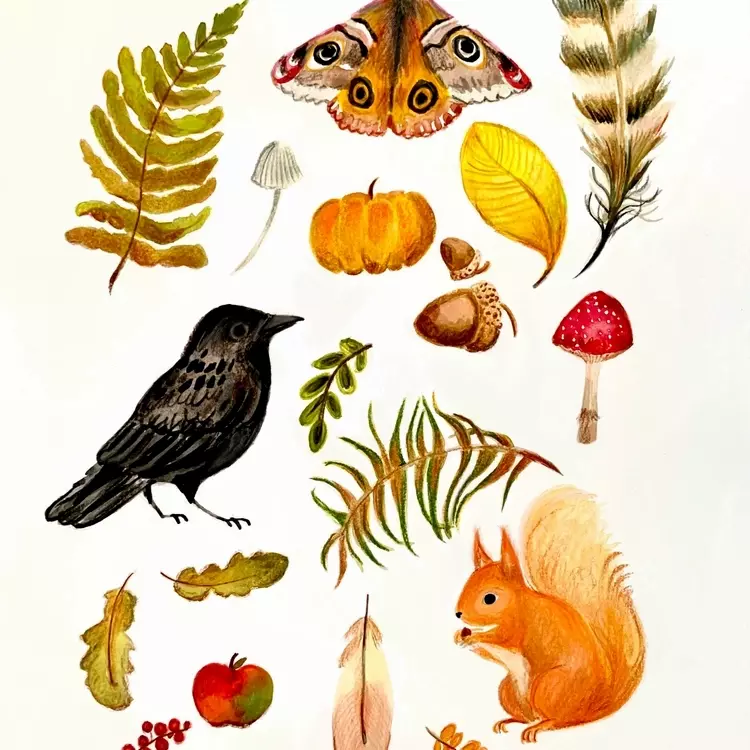 Autumn, fall, autumn illustrations, crow, fern, moth, pumpkin, acorn, mushrooms, toadstool, squirrel, leaves, autumn leaves, apple, feathers, autumn images, fall illustrations